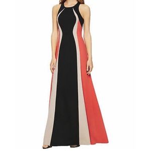 BCBG Max Azria Johanna Color Blocked Gown